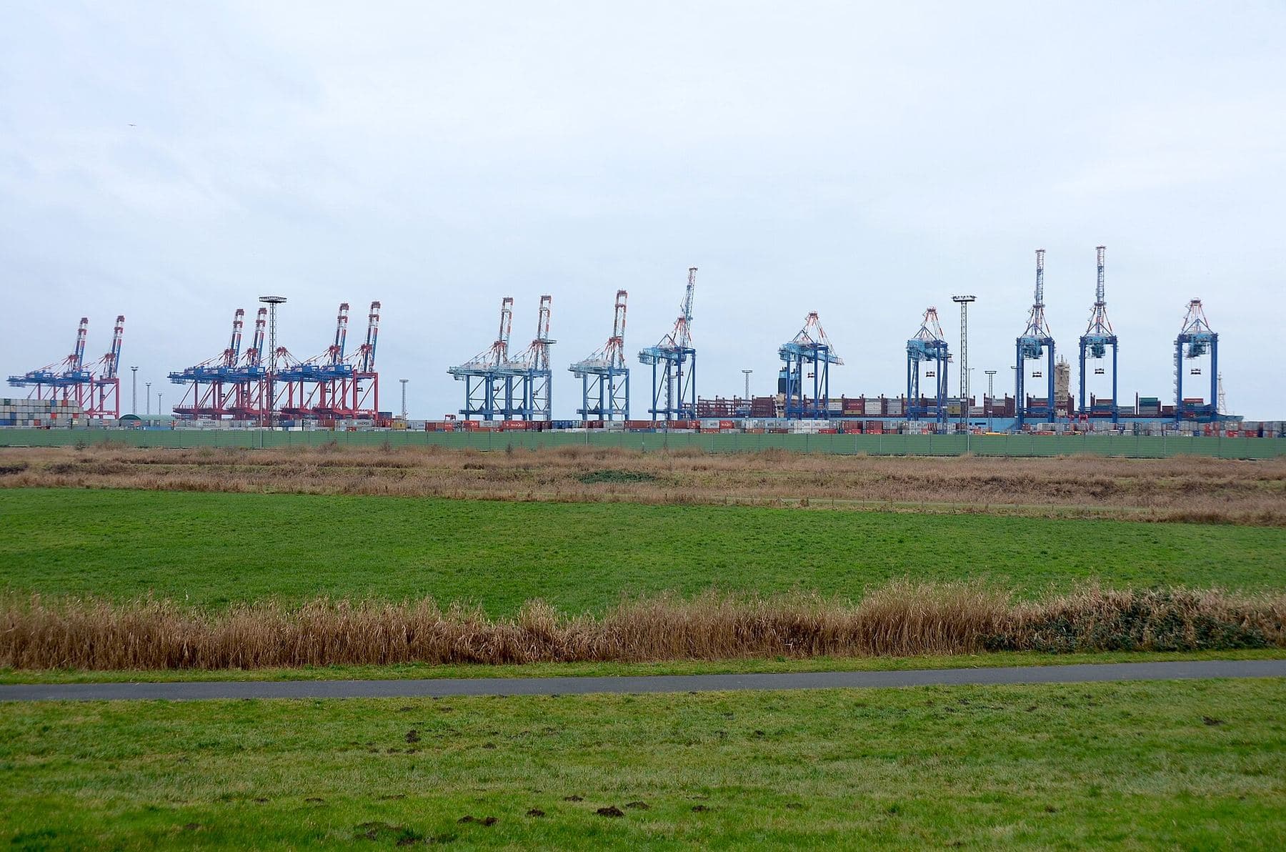Gantry cranes at a container terminal